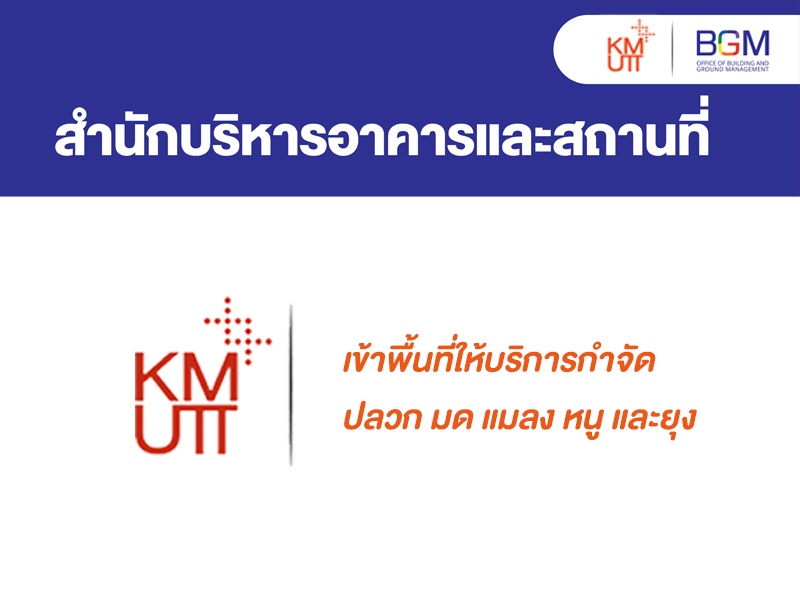 เข้าพื้นที่ให้บริการกำจัดปลวก มด แมลง หนู และยุง